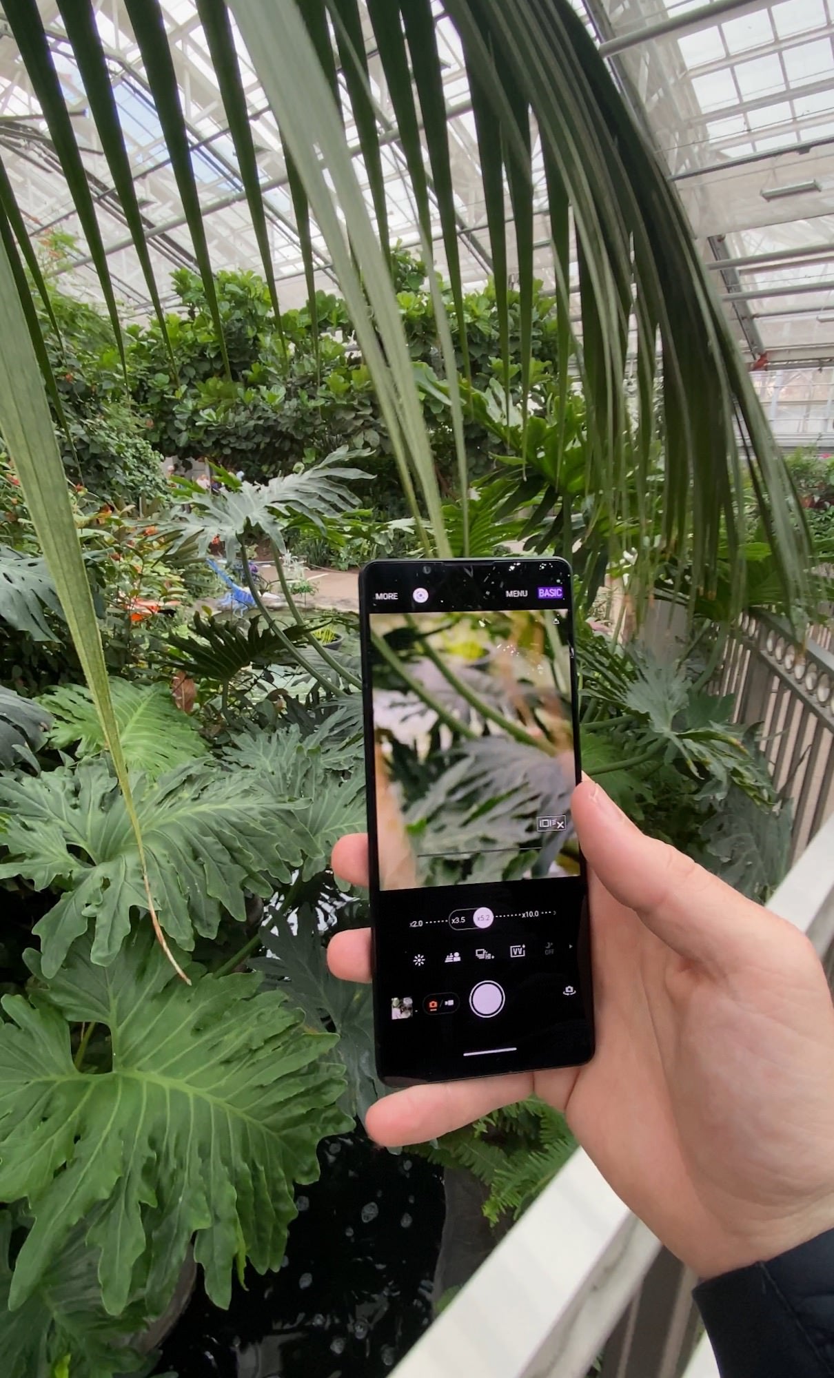 Photo by Jason Frankle. Sony Xperia 1 V.