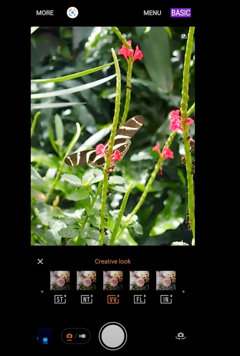 jpeg/Alpha-Universe-Jason-Frankle-Xperia1V-BTSVVCreativeLook-1-1200_bounds8cc9o1.jpeg?height=1200&fit=bounds