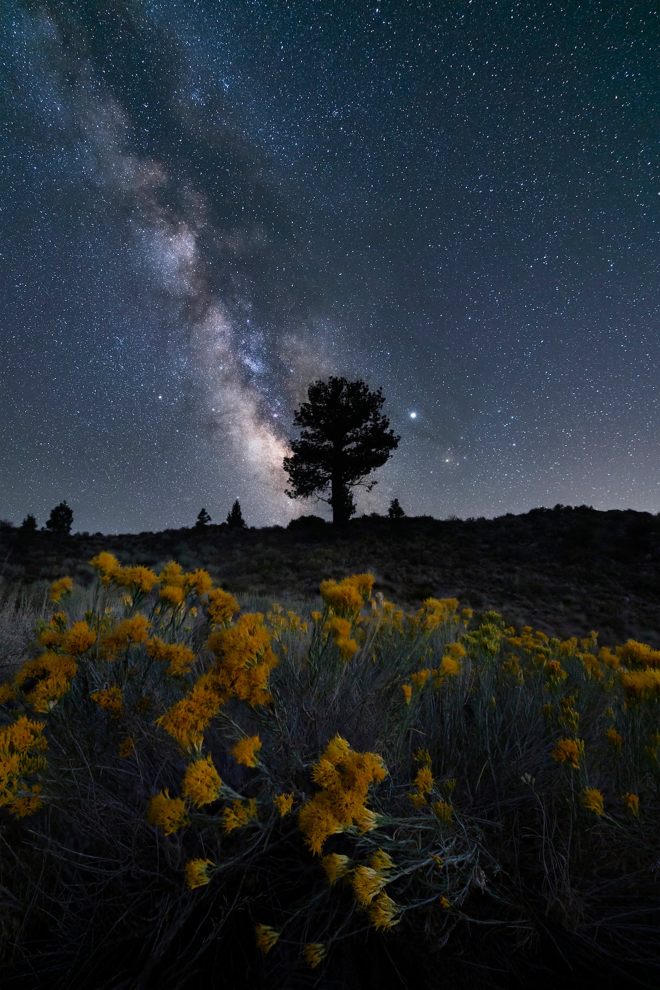 Photo by David Erichsen. Sony Alpha 7R III. Sony 16-35mm f/2.8 G Master. 10-sec., f/2.8, ISO 6400 