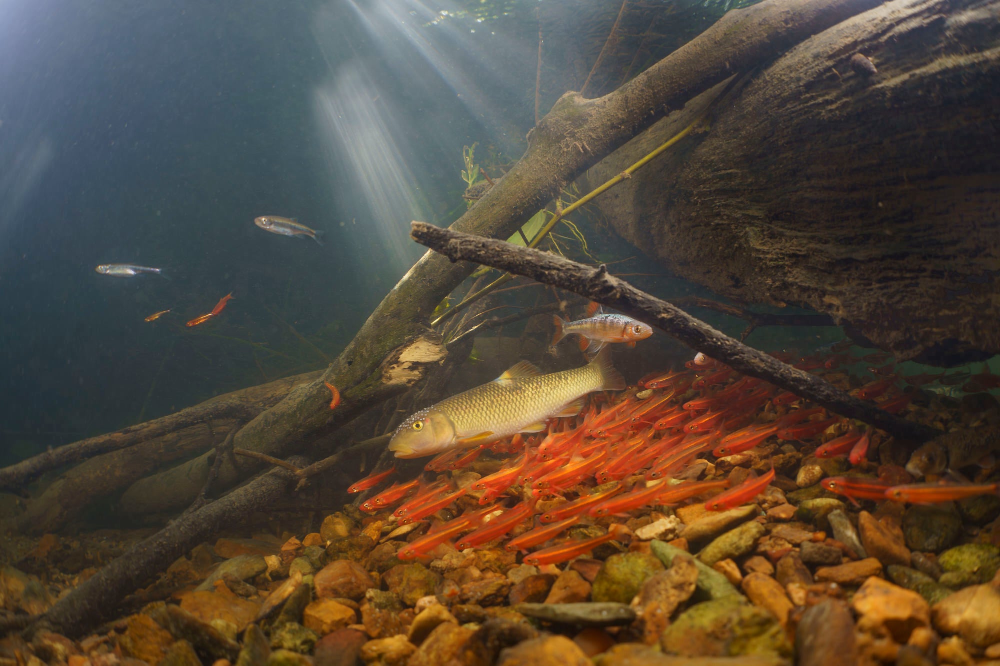 Photo by Andrew Zimmerman. Sony Alpha 7R IV. Sony 28mm f/2. 1/80-sec., f/6.3, ISO 800