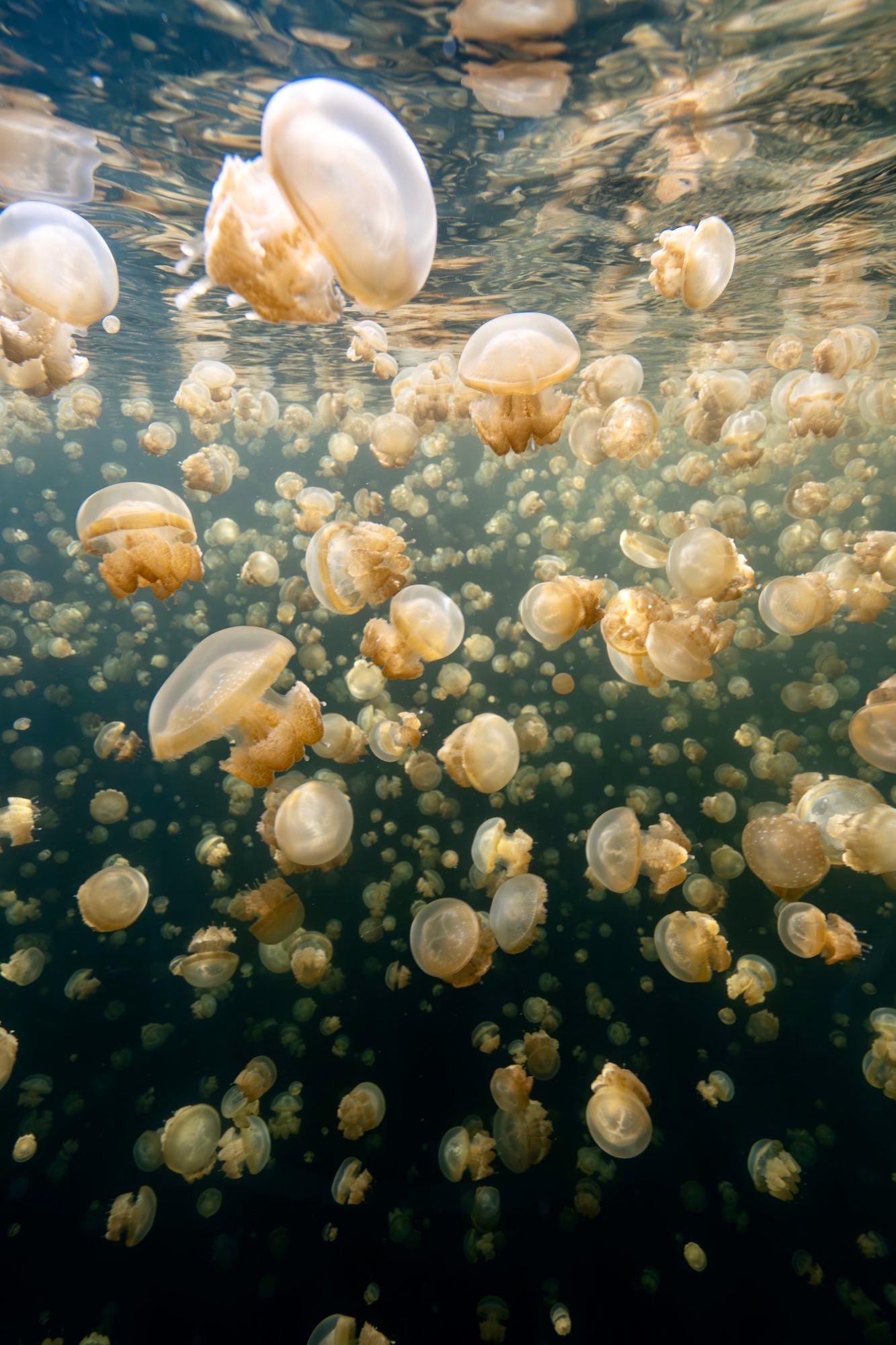 Photo by Allegra Hutton. Sony Alpha 7R V. Sony 14mm f/1.8 G Master. 1/125-sec., f/11, ISO 320