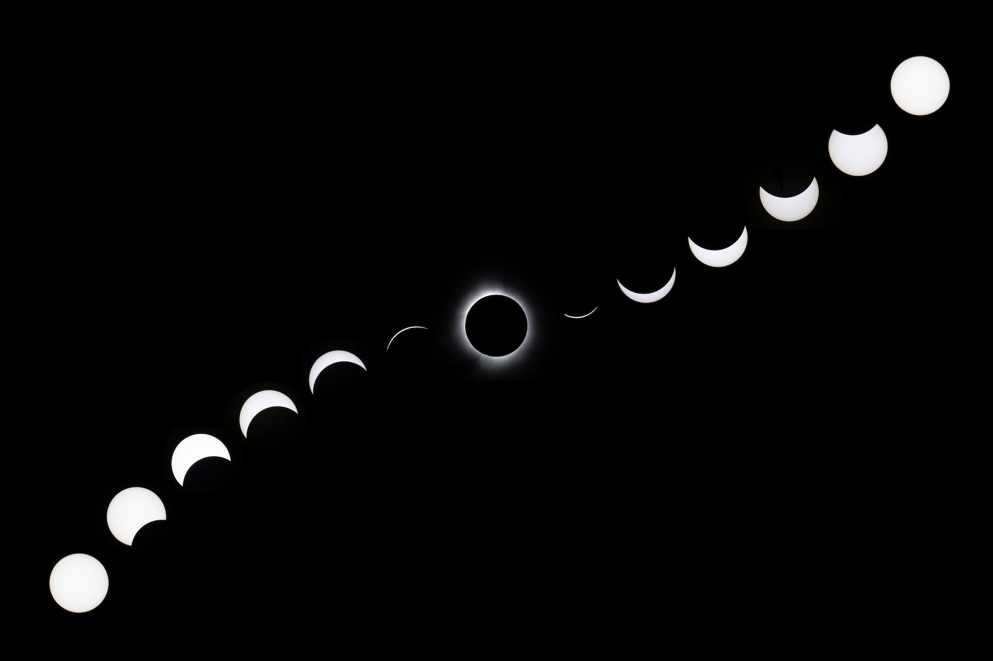 Photo by Damian Chlanda. Sony Alpha 7 IV. Sony 200-600mm f/5.6-6.3 G + 2.0x TC.