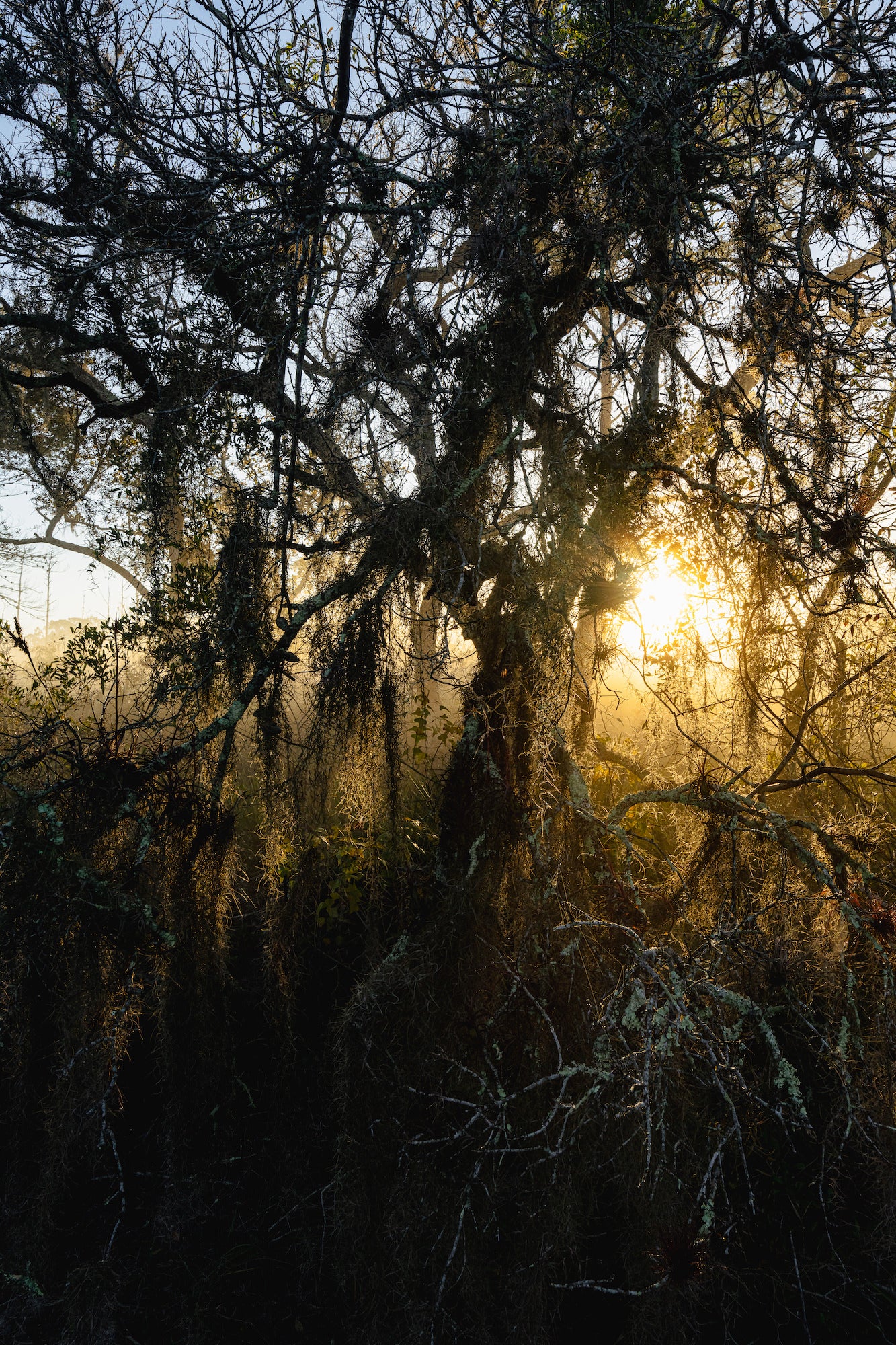 Photo by George McKenzie Jr. Sony Alpha 7R IV. Sony 16-35mm f/4. 1/125-sec., f/16, ISO 320
