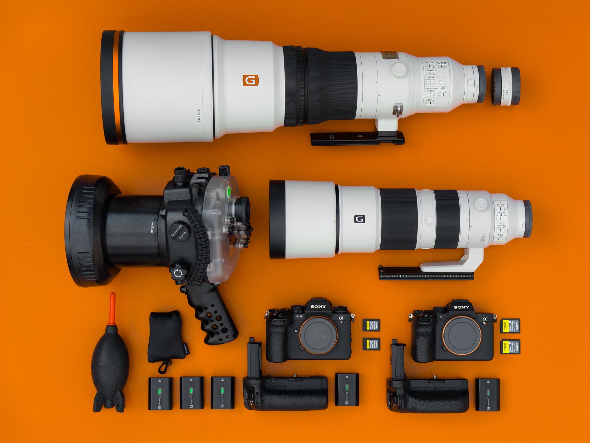 Hayden Dumaw's photography gear for wildlife