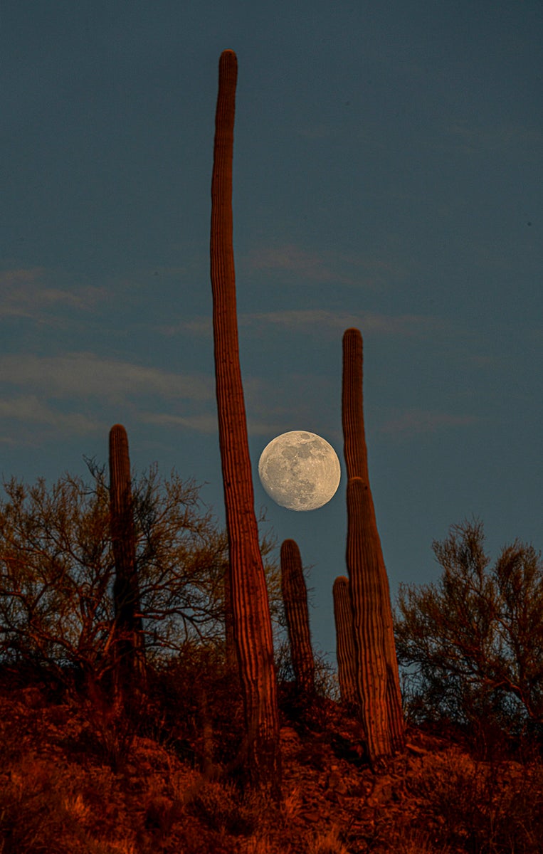 jpg/Alpha-Universe-National-Parks-Andy-Katz-4-1200_boundsjam7rx.jpg?height=1200&fit=bounds
