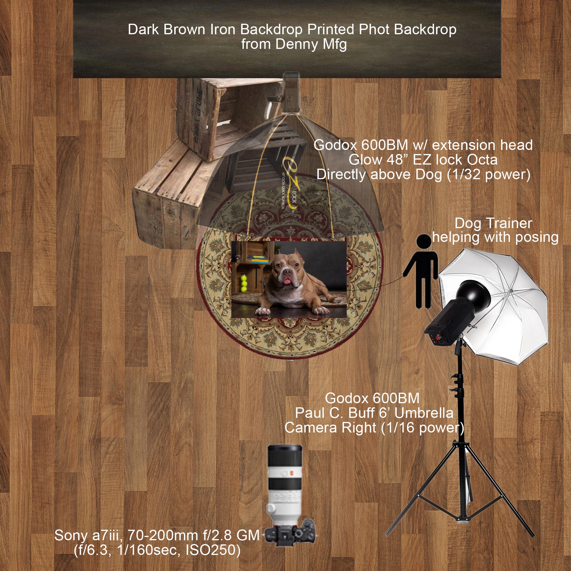 Alpha-Universe-Orendorff-Studios-Pet-Portrait-Lighting-Setup-2021.jpg