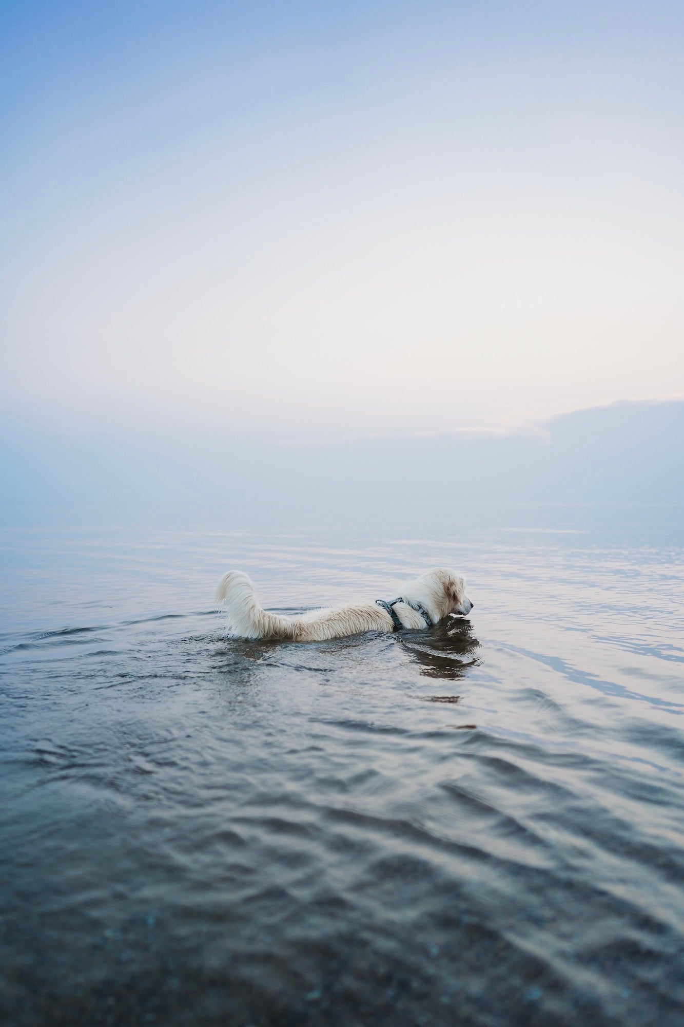 Photo by Rachel Jezowski. Sony Alpha 7 III. Sony 24mm f/1.4 G Master. 1/320-sec., f/1.4, ISO 100