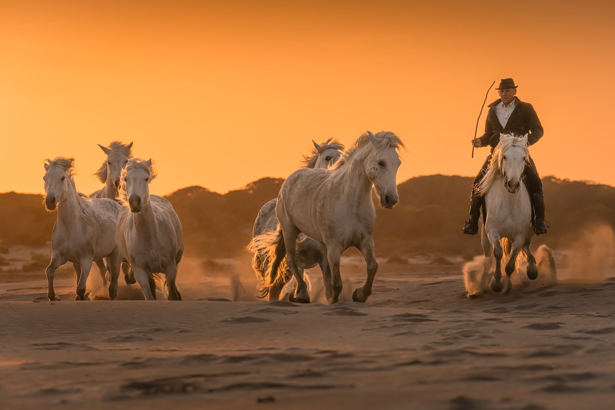 Photo by Criz Quinn. Sony Alpha 7R IV. Sony 70-200mm f/2.8 G Master II. 1/1250-sec., f/7.1, ISO 400