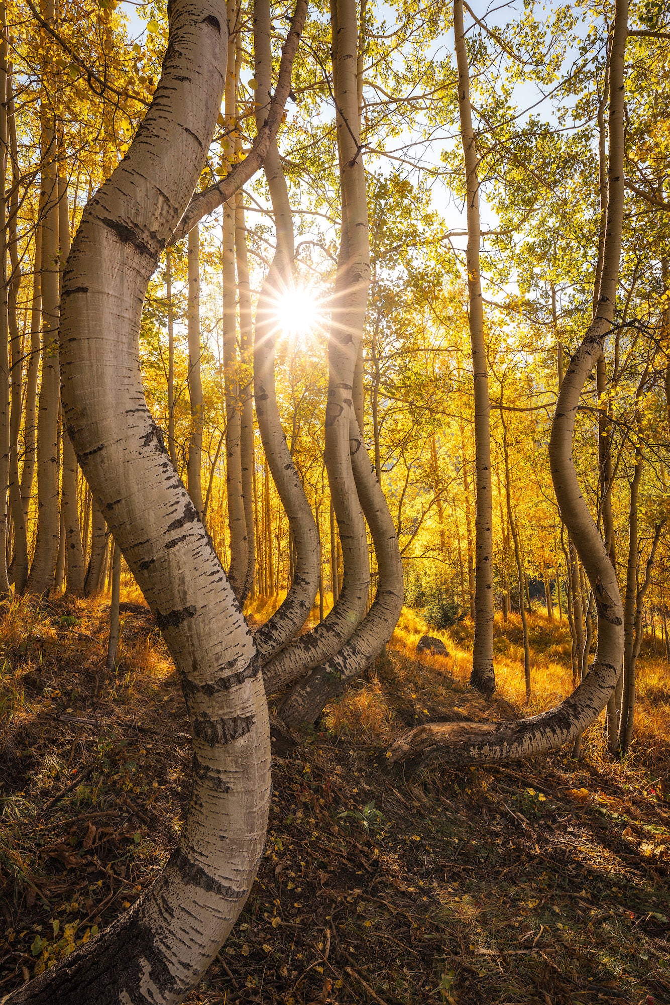 Photo by David Erichsen. Sony Alpha 7R III. Sony 12&ndash;24mm f/4 G. 1/10-sec. f/16, ISO 100