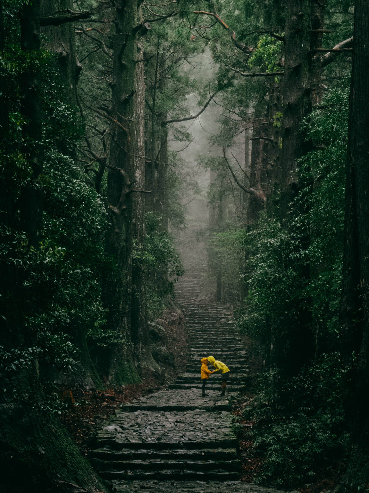 Photo by Ippei and Janine. Sony Xperia 1 III. 105mm. 1/25-sec., f/2.8, ISO 100