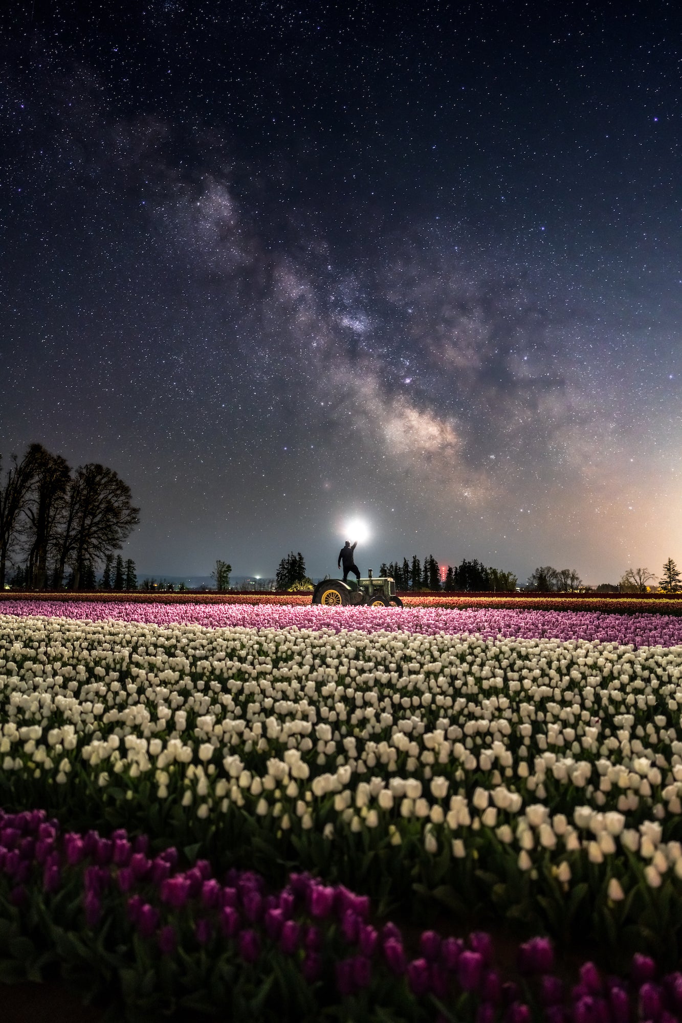 Alpha-Universe-WIMB-Lester-Tsai-5.jpg