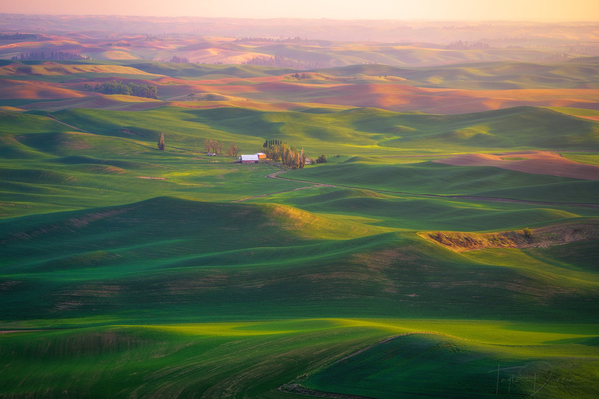 Photo by Taylor Duncan. Alpha 7R IV. 1/40-sec., f/5.6, ISO 100