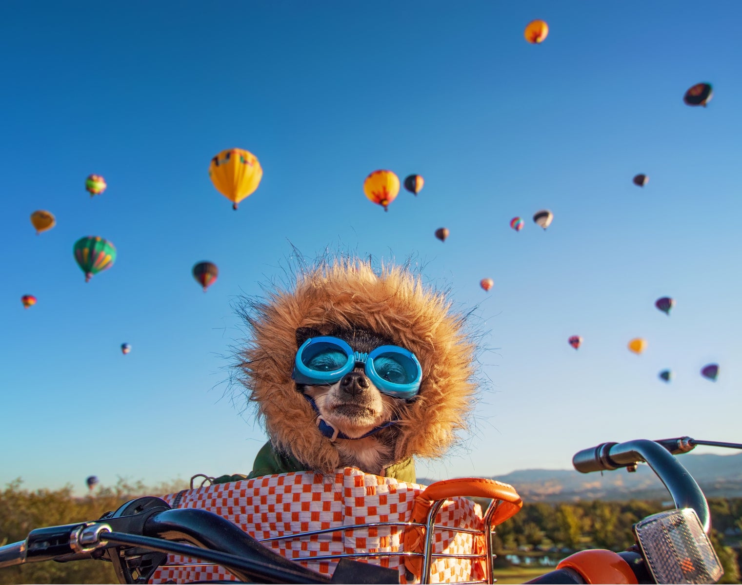 jpg/dainichiballoonssky1a-1200_bounds778yta.jpg?height=1200&fit=bounds